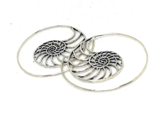 Ammonite Scroll
