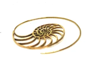 Ammonite Scroll