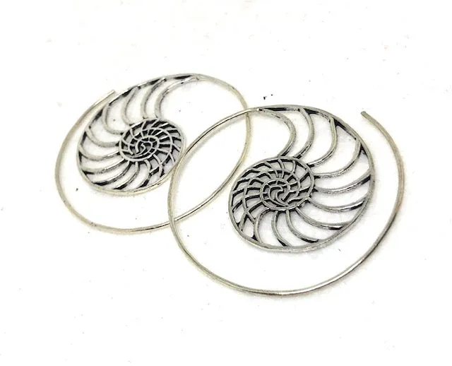 Ammonite Scroll