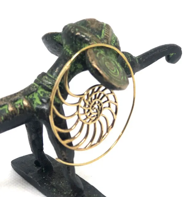 Ammonite Scroll