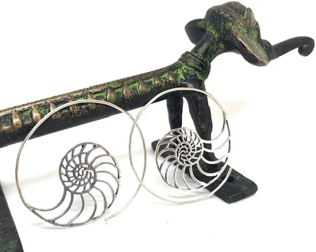 Ammonite Scroll