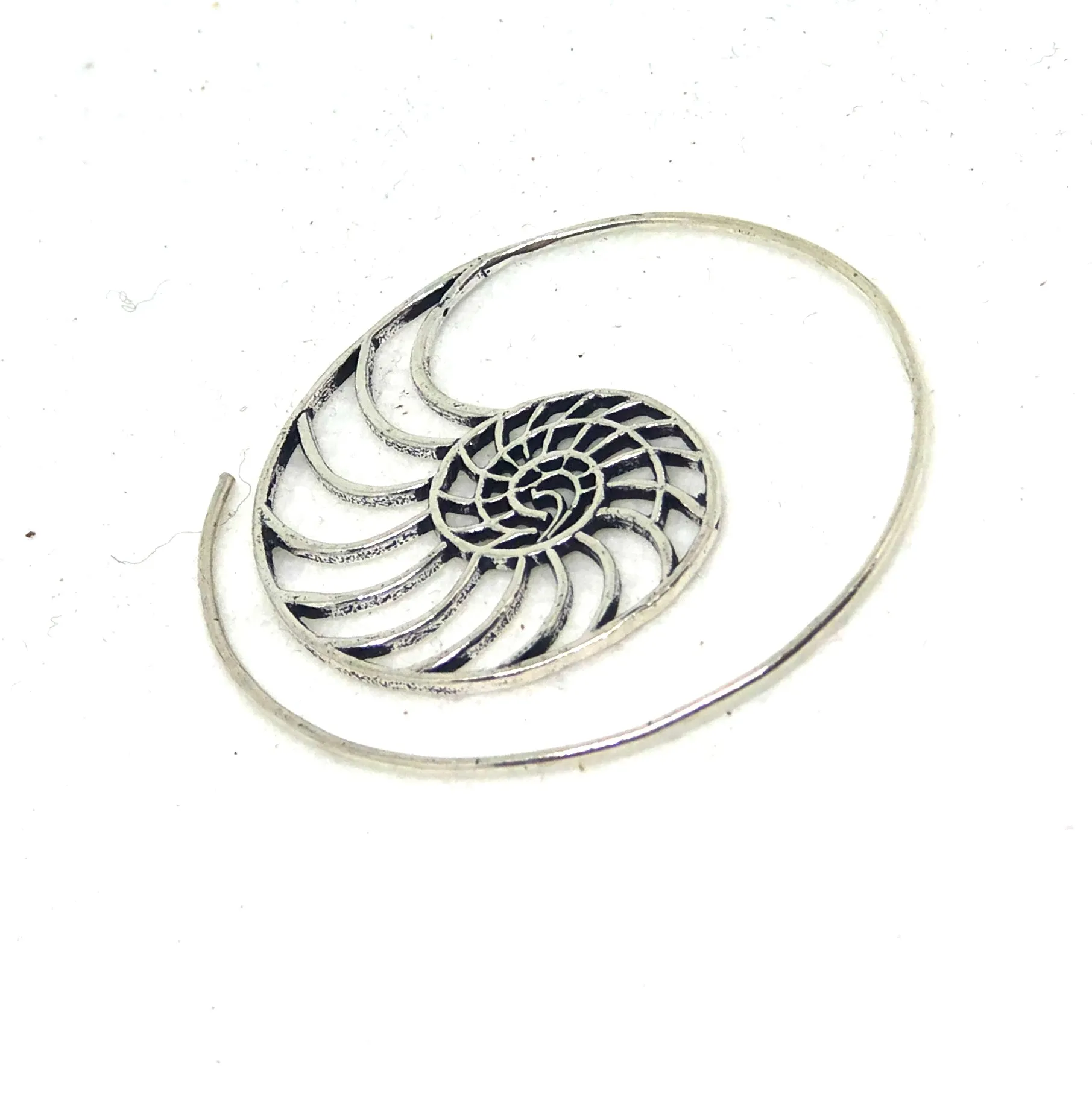 Ammonite Scroll