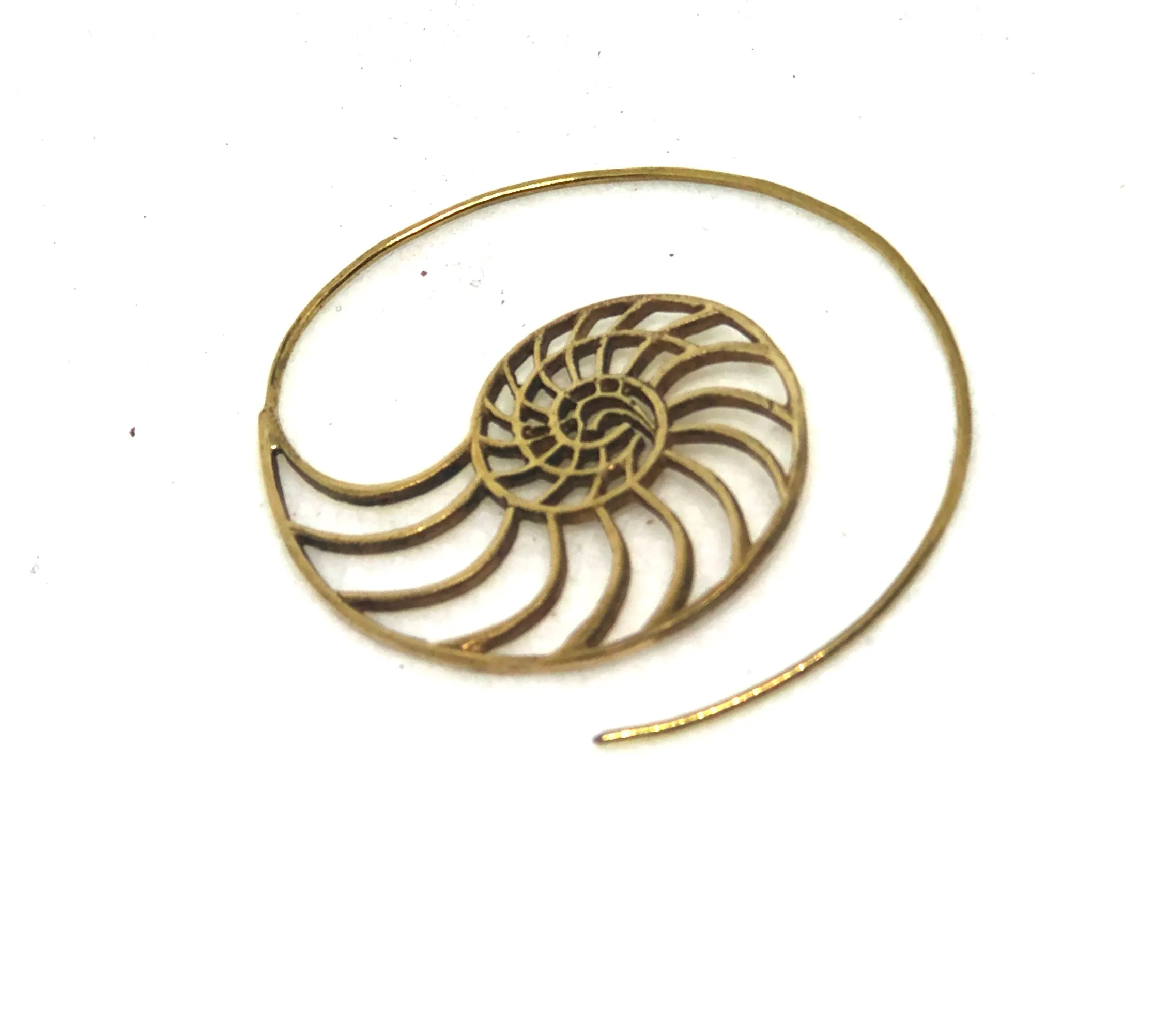 Ammonite Scroll