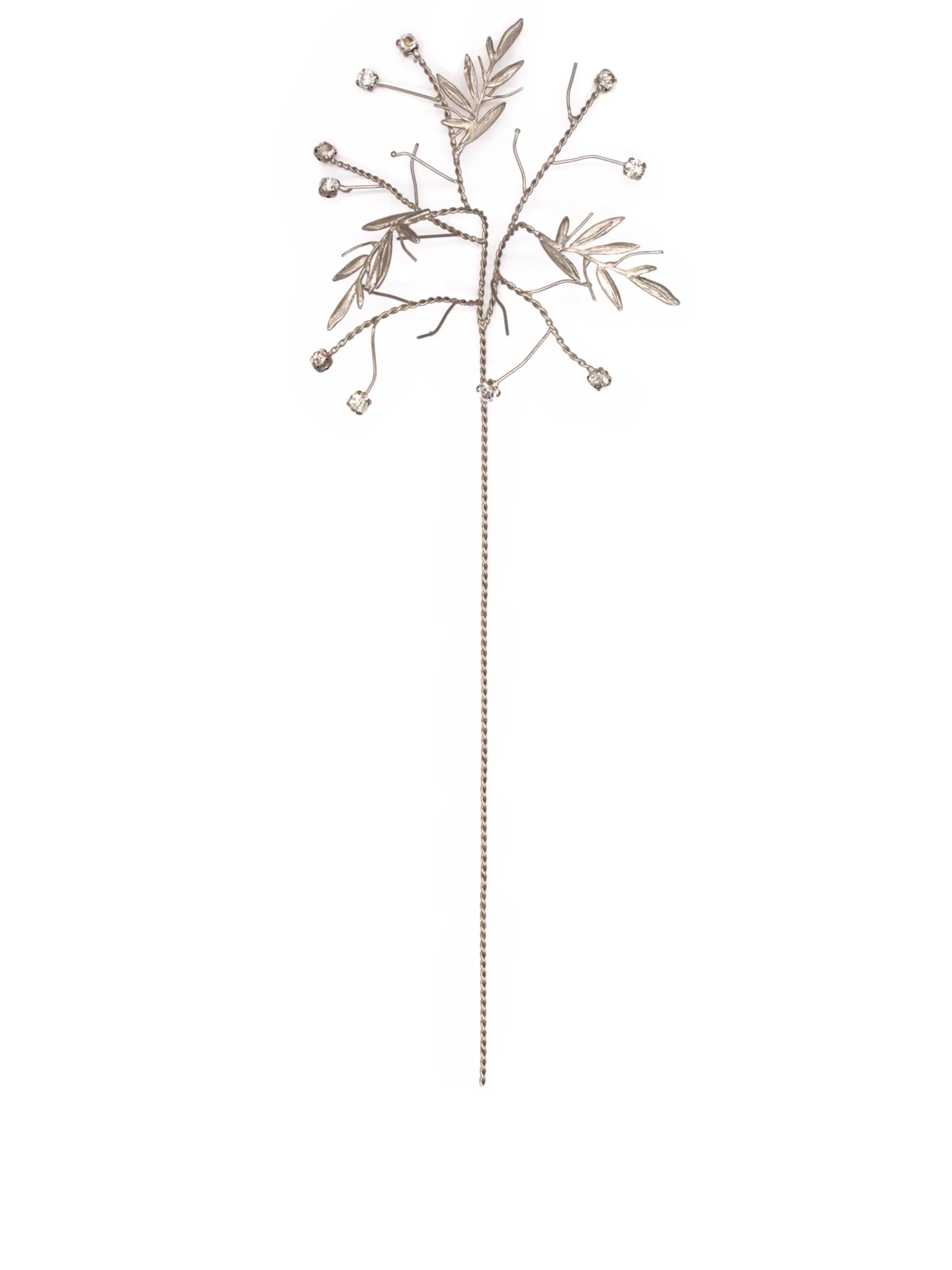 Local Olive leaf set on a stem