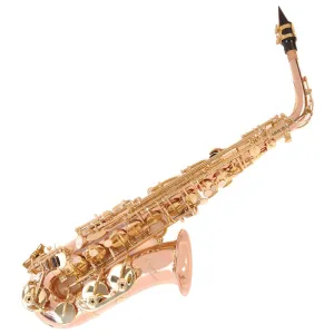 Odyssey Premiere 'Eb' Alto Saxophone Outfit ~ Rose/Gold