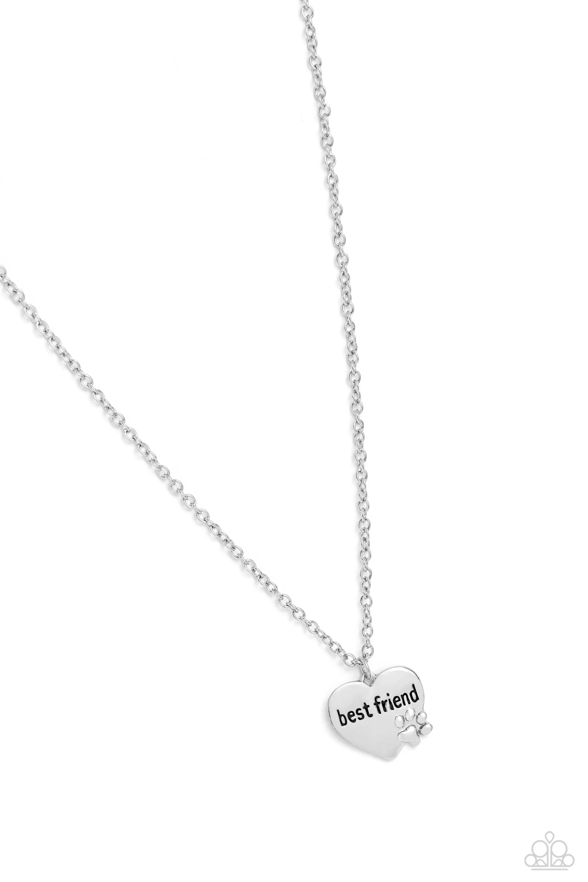 Paparazzi Man's Best Friend - Silver Necklace
