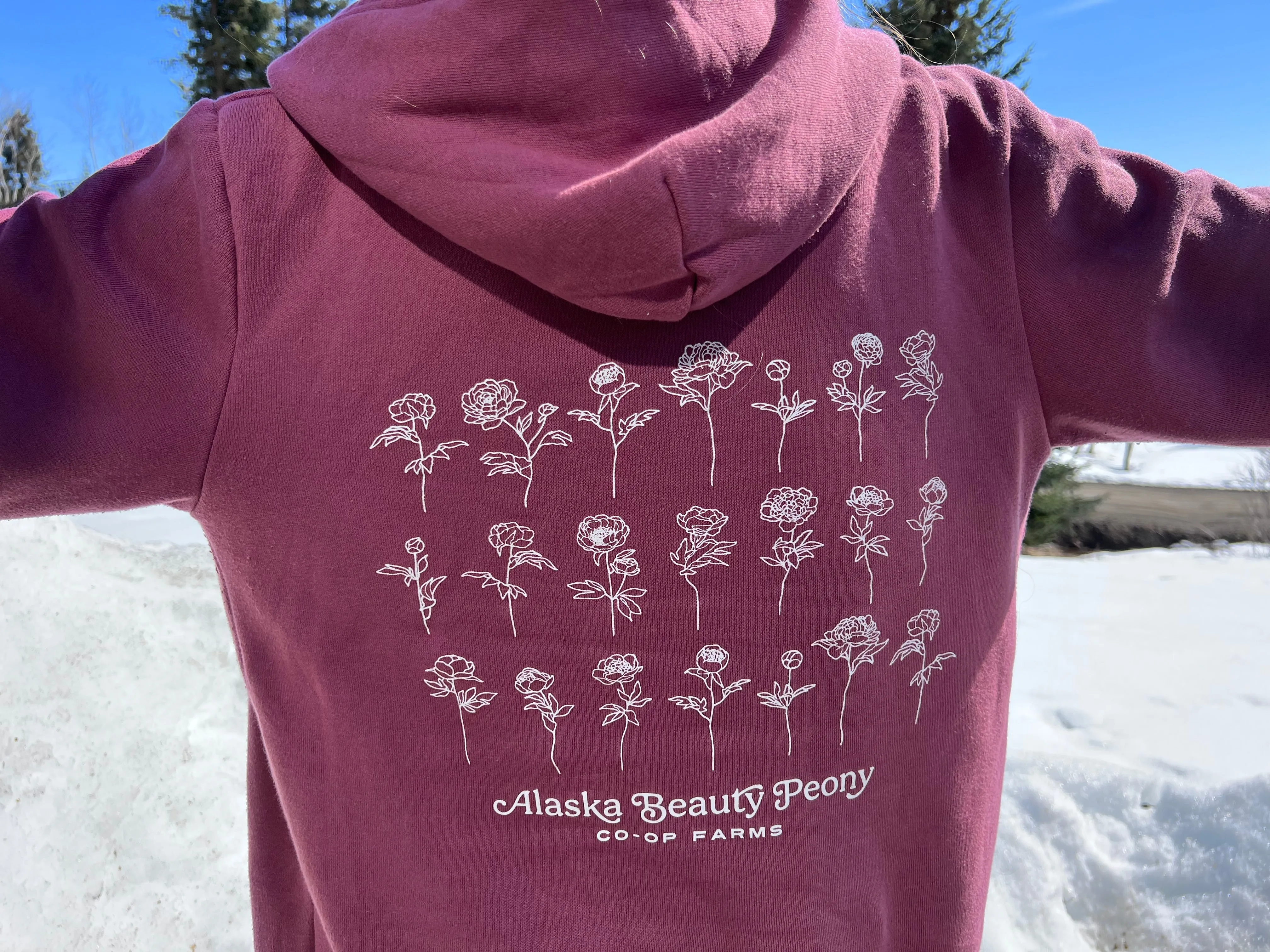 Pick Joy Zip Hoodie - Wine