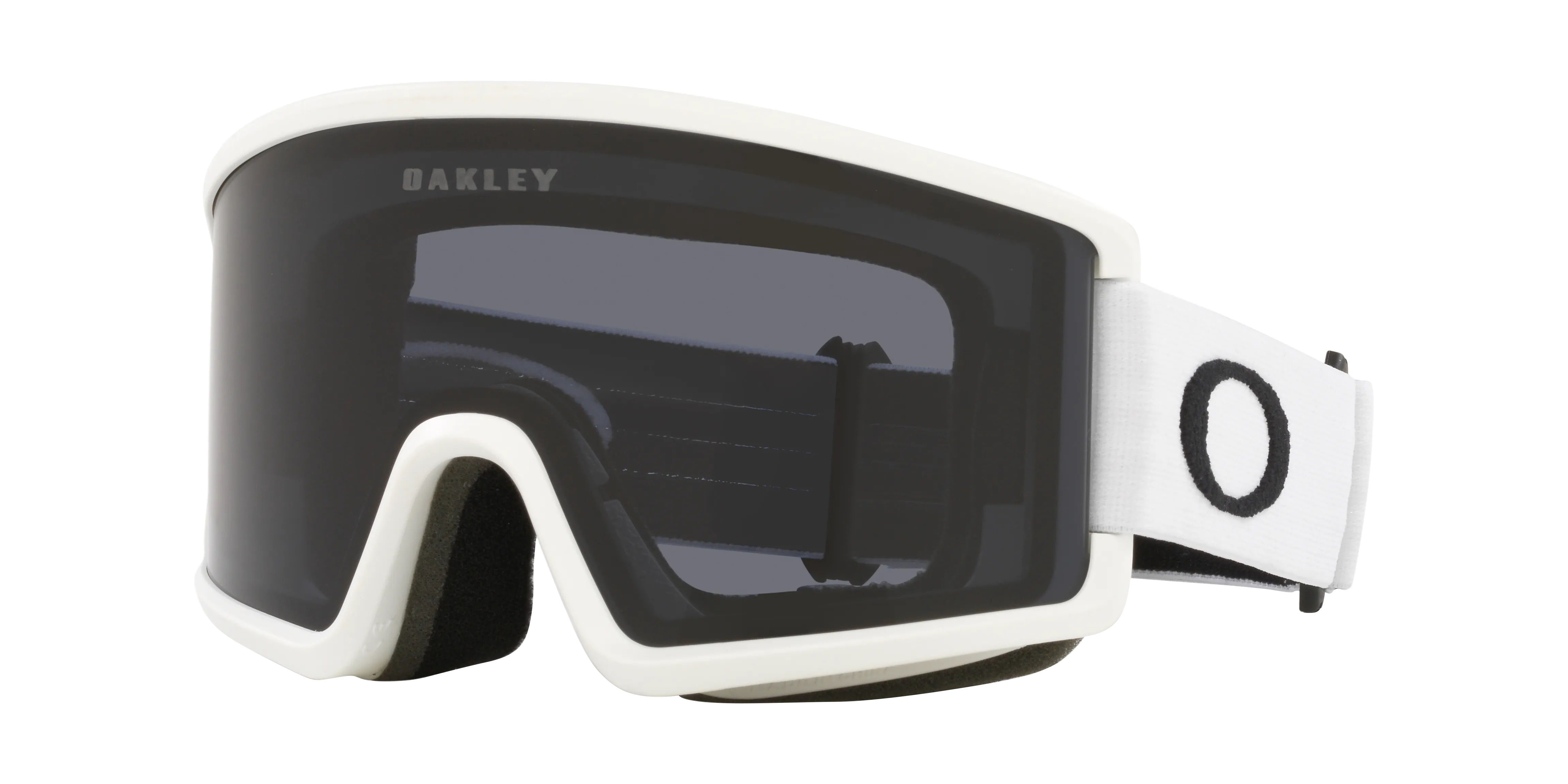 Target Line L Snow Goggles