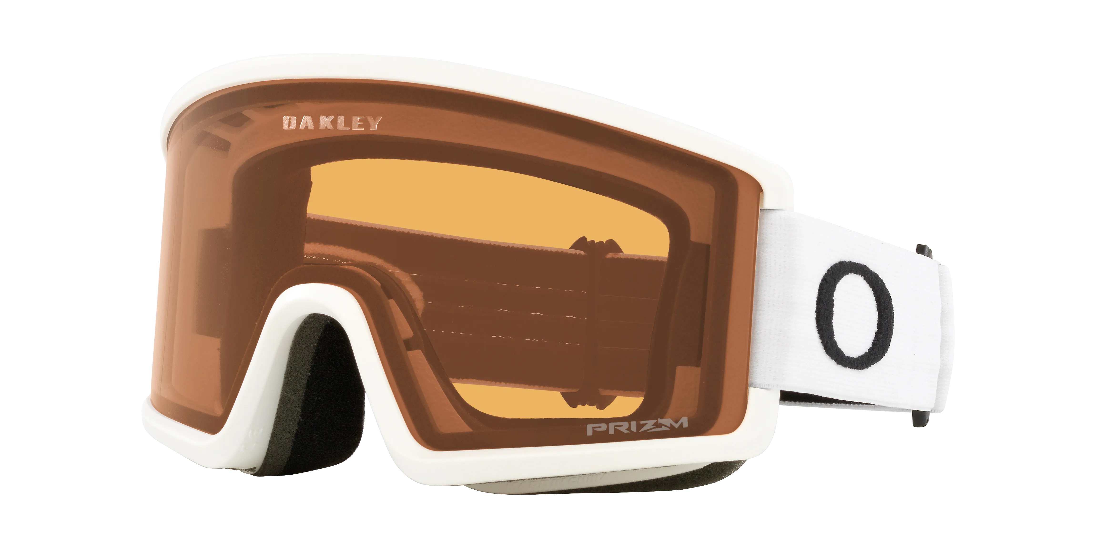 Target Line L Snow Goggles