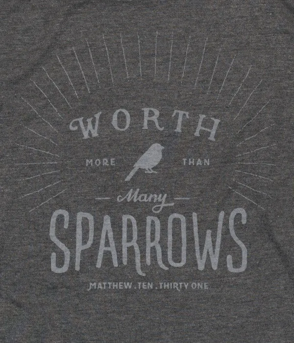 Worth More Than Many Sparrows